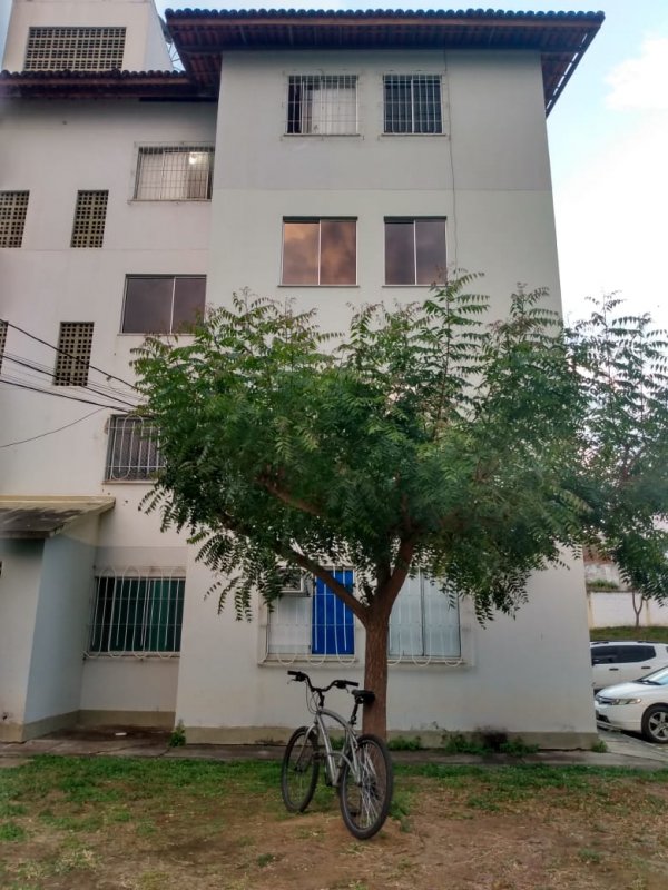 Apartamento - Venda - So Lus - Jequi - BA